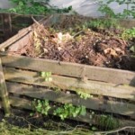 Komposztálni való a tárolóban